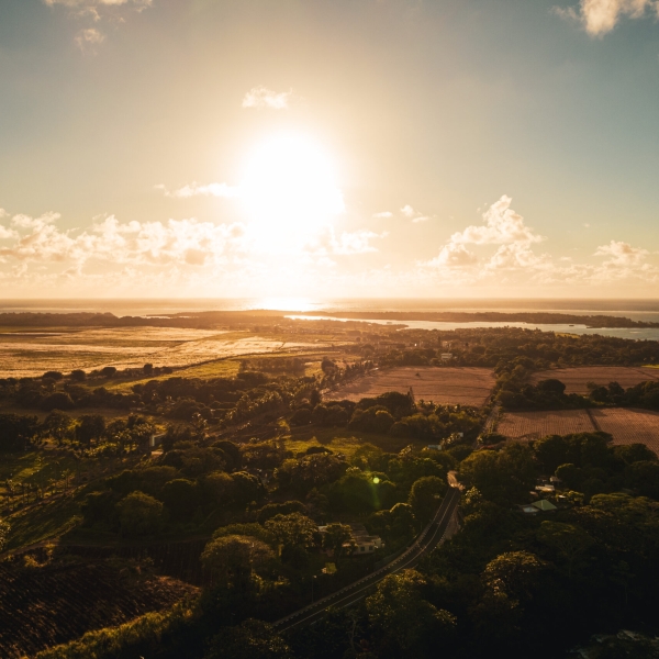 АНАХИТА БЬЮ ШАМП